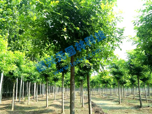 �c���鿴Ԕ��(x��)��Ϣ��(bi��o)�}����Ϟ ��x�Δ�(sh��)��2358