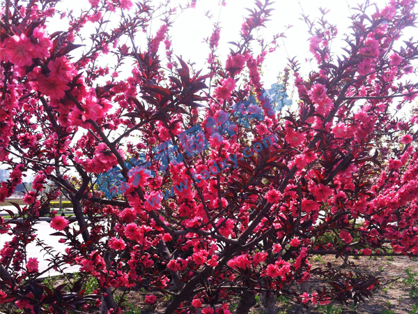 �c���鿴Ԕ����Ϣ���}������ ��x�Δ�(sh��)��2284