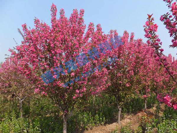 �c���鿴Ԕ��(x��)��Ϣ��(bi��o)�}������ ��x�Δ�(sh��)��2354