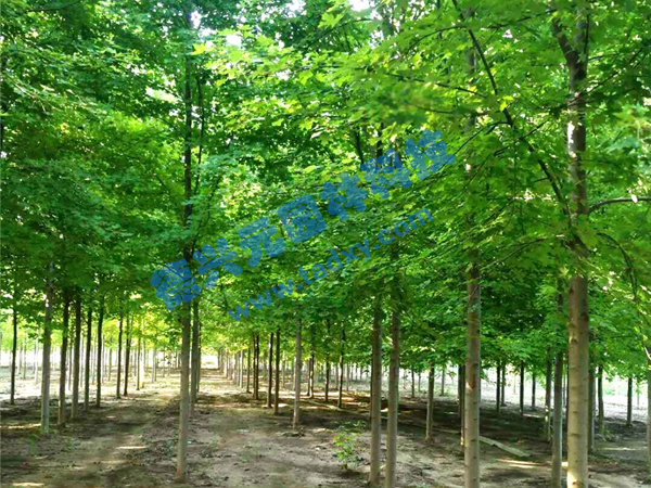 �c���鿴Ԕ����Ϣ���}�������t�� ��x�Δ�(sh��)��2008