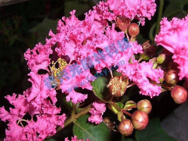 �c���鿴Ԕ����Ϣ���}����ޱ ��x�Δ�(sh��)��1802